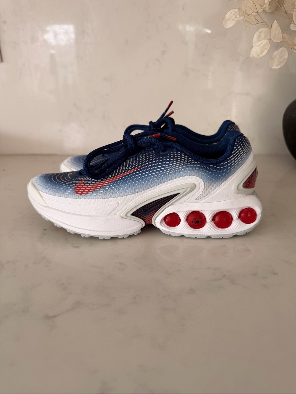 Nike Air Max Dn Team USA Paris 2024 Olympic Paralympic Athlete Exclusive 7.5